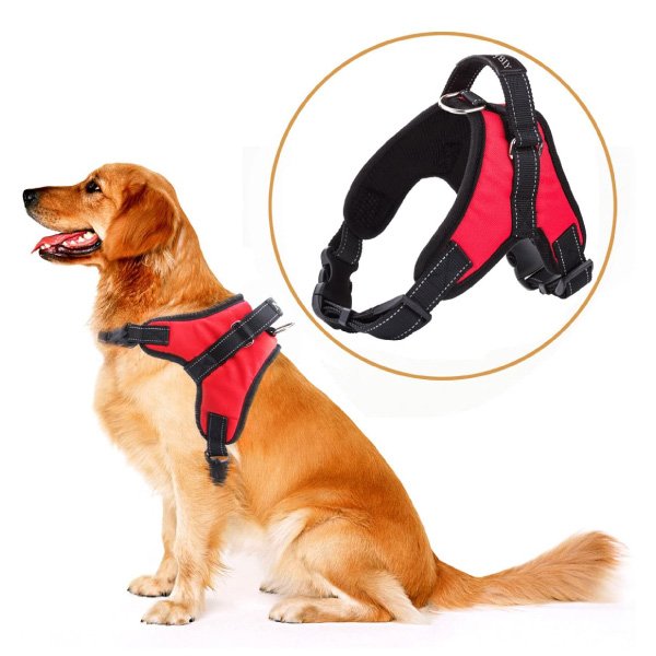 IMBRACATURA PER CANI