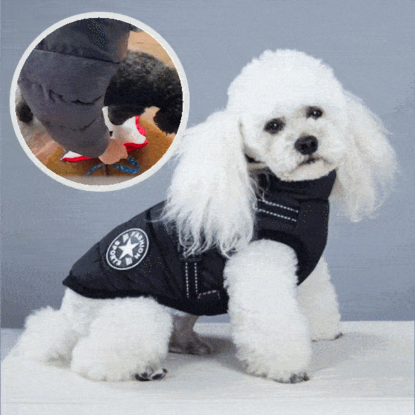 Giacca per cani con pettorina riflettente - Dogjacket