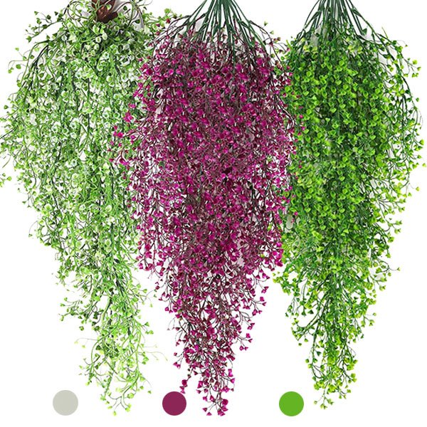 Pianta decorativa appesa - Ivyplant