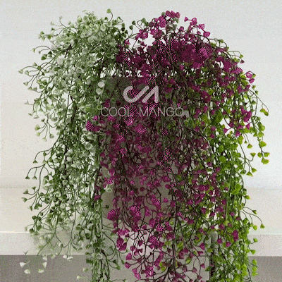 Pianta decorativa appesa - Ivyplant